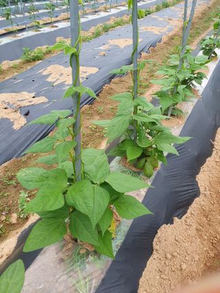 주옥님의 자유주제 · 자유게시판 작성글 사진