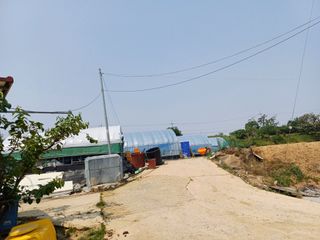 부농이네(이나영)님의 자유주제 · 자유게시판 작성글 사진