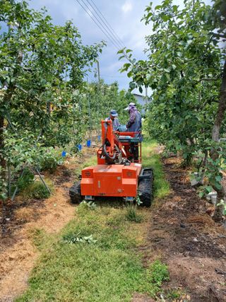 알 수 없음님의 자유주제 · 자유게시판 작성글 사진