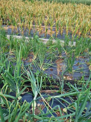 감20280님의 자유주제 · 자유게시판 작성글 사진