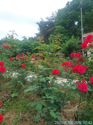 황대헌님의 자유주제 · 자유게시판 작성글 사진