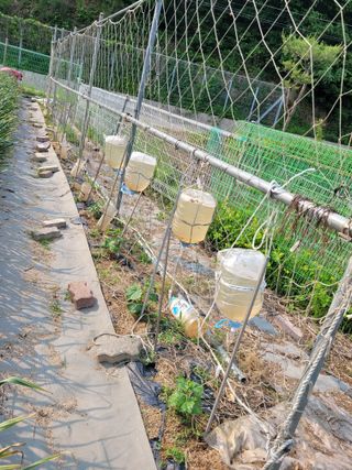 땅땅님의 자유주제 · 자유게시판 작성글 사진
