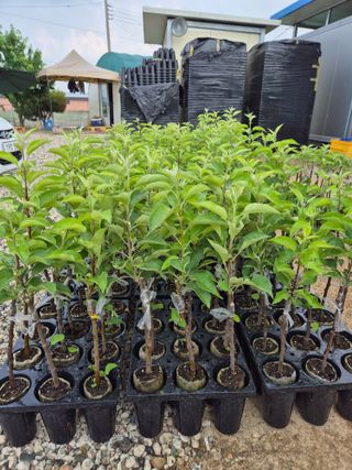 우리농원님의 자유주제 · 자유게시판 작성글 사진