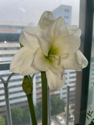 주옥님의 자유주제 · 자유게시판 작성글 사진