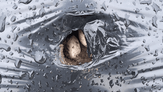 누보농장님의 자유주제 · 자유게시판 작성글 사진