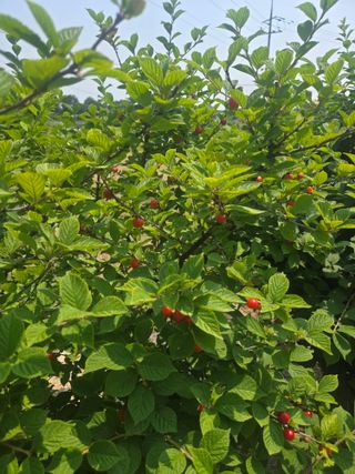 자연인님의 자유주제 · 자유게시판 작성글 사진