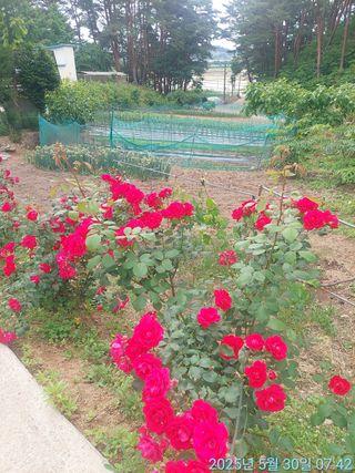 황대헌님의 자유주제 · 자유게시판 작성글 사진