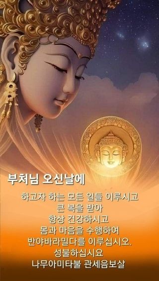 호백운님의 작성글 사진