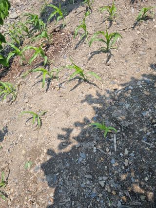 김용대님의 자유주제 · 자유게시판 작성글 사진