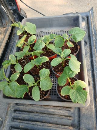 상원(尙沅)님의 자유주제 · 자유게시판 작성글 사진