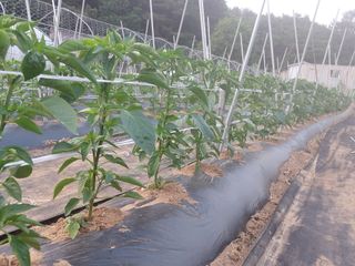 정연국님의 자유주제 · 자유게시판 작성글 사진