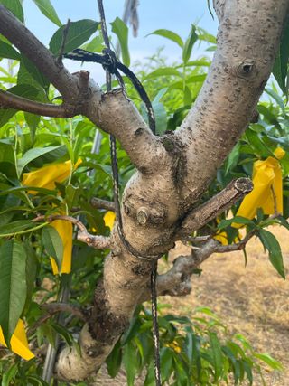 이호승님의 농사, 무엇이든 물어보세요! · 참여글 작성글 사진