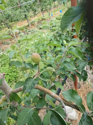 알 수 없음님의 자유주제 · 자유게시판 작성글 사진