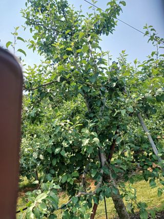 알 수 없음님의 자유주제 · 자유게시판 작성글 사진