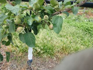 알 수 없음님의 자유주제 · 자유게시판 작성글 사진