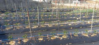 산골마님님의 자유주제 · 자유게시판 작성글 사진