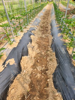 최상길 님의 자유주제 · 자유게시판 작성글 사진