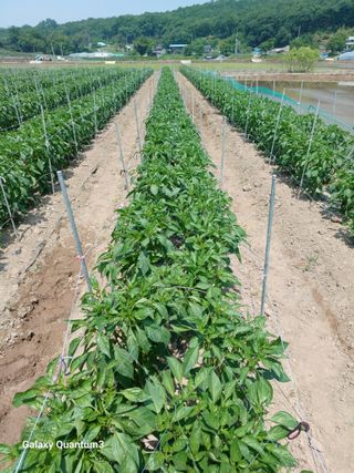 이창우님의 자유주제 · 자유게시판 작성글 사진