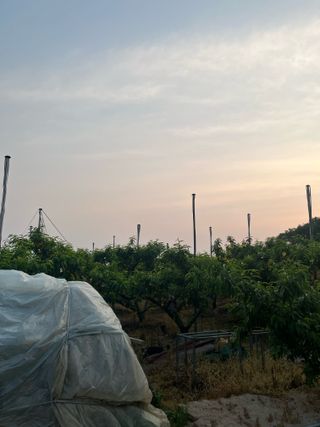 이호승님의 농사, 무엇이든 물어보세요! · 참여글 작성글 사진
