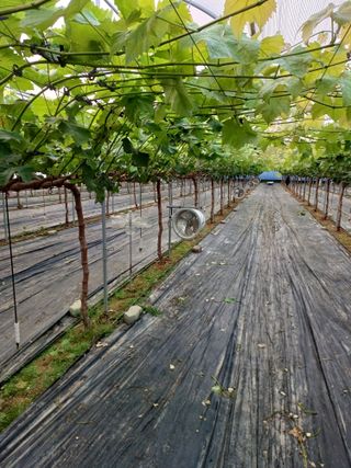 낙양성님의 자유주제 · 자유게시판 작성글 사진