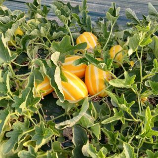 이인규님의 자유주제 · 자유게시판 작성글 사진