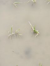 팜모닝 자유주제·사진전 게시글 이미지