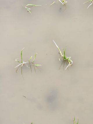 오근석님의 자유주제 · 사진전 작성글 사진