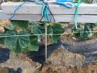 최남옥님의 자유주제 · 자유게시판 작성글 사진