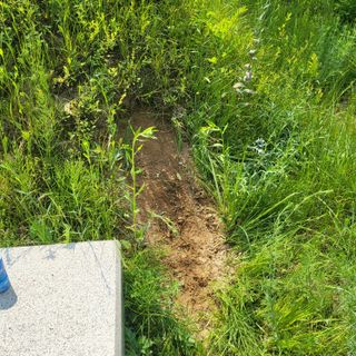 양지모종님의 자유주제 · 자유게시판 작성글 사진