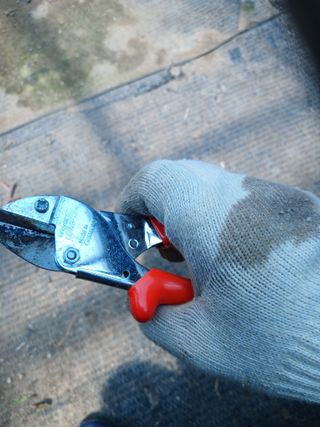 알 수 없음님의 자유주제 · 자유게시판 작성글 사진