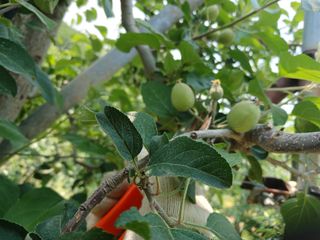 알 수 없음님의 자유주제 · 자유게시판 작성글 사진