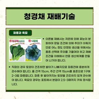 아시아종묘님의 자유주제 · 자유게시판 작성글 사진