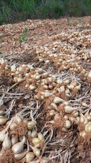 조새힘님의 작성글 사진