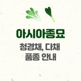 아시아종묘님의 자유주제·자유게시판 작성글 사진