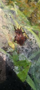 팜모닝 자유주제·자유게시판 게시글 이미지