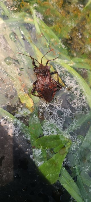 윤양현님의 자유주제 · 자유게시판 작성글 사진