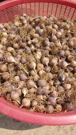 조새힘님의 자유주제 · 자유게시판 작성글 사진