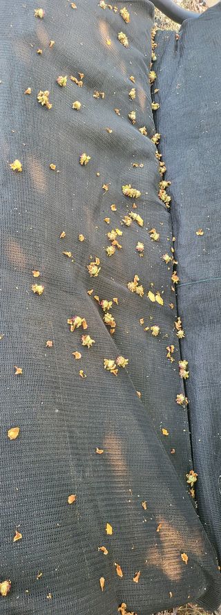 전자현님의 자유주제 · 자유게시판 작성글 사진