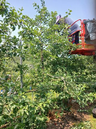 알 수 없음님의 자유주제 · 자유게시판 작성글 사진