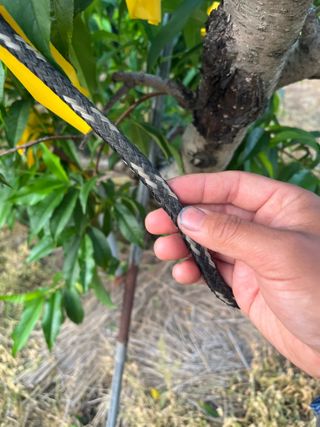 이호승님의 농사, 무엇이든 물어보세요! · 참여글 작성글 사진