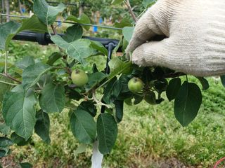알 수 없음님의 자유주제 · 자유게시판 작성글 사진