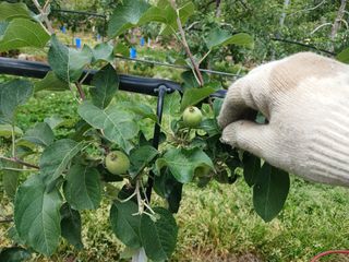 알 수 없음님의 자유주제 · 자유게시판 작성글 사진