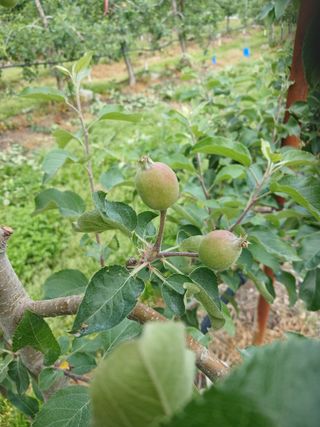 알 수 없음님의 자유주제 · 자유게시판 작성글 사진