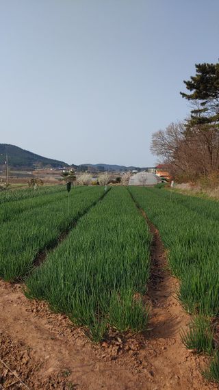 조새힘님의 작성글 사진