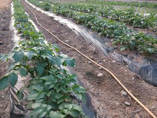 알 수 없음님의 자유주제 · 자유게시판 작성글 사진