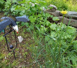 인생은 소풍처럼님의 자유주제 · 자유게시판 작성글 사진