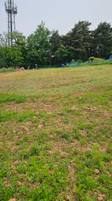 팜모닝 자유주제·사진전 게시글 이미지