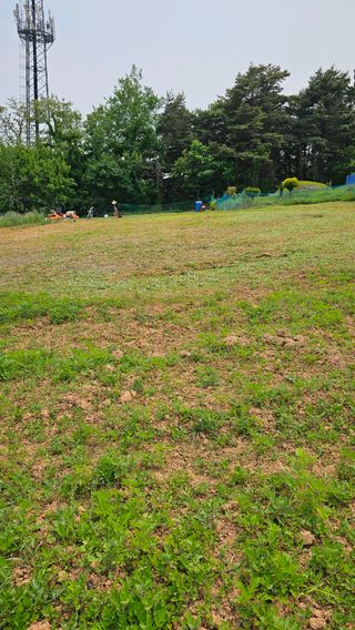 장철식님의 자유주제 · 사진전 작성글 사진