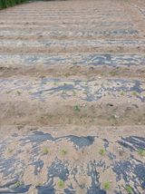 팜모닝 자유주제·자유게시판 게시글 이미지