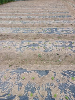 전국하님의 자유주제 · 자유게시판 작성글 사진